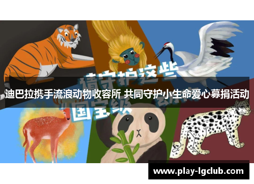 迪巴拉携手流浪动物收容所 共同守护小生命爱心募捐活动