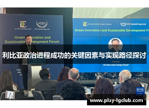 利比亚政治进程成功的关键因素与实现路径探讨