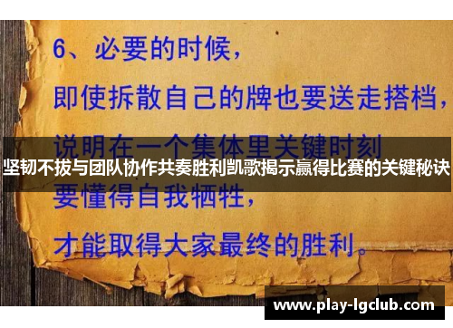 坚韧不拔与团队协作共奏胜利凯歌揭示赢得比赛的关键秘诀
