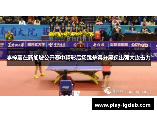 李梓嘉在新加坡公开赛中精彩后场跳杀得分展现出强大攻击力