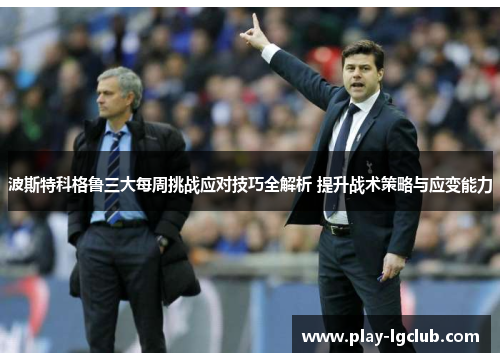 波斯特科格鲁三大每周挑战应对技巧全解析 提升战术策略与应变能力