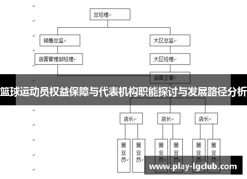 篮球运动员权益保障与代表机构职能探讨与发展路径分析