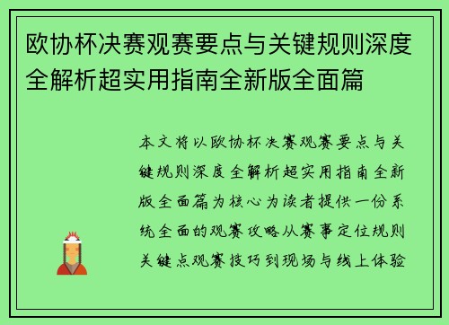 欧协杯决赛观赛要点与关键规则深度全解析超实用指南全新版全面篇