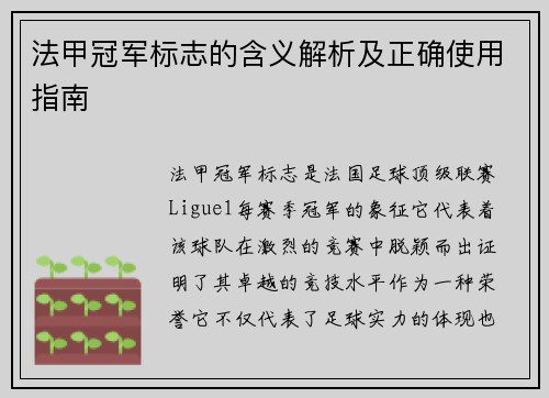 法甲冠军标志的含义解析及正确使用指南